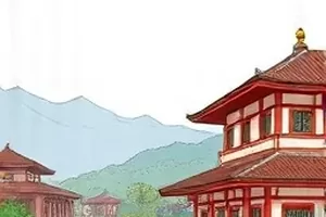 候鸟不回头湿地迁徙场景封面